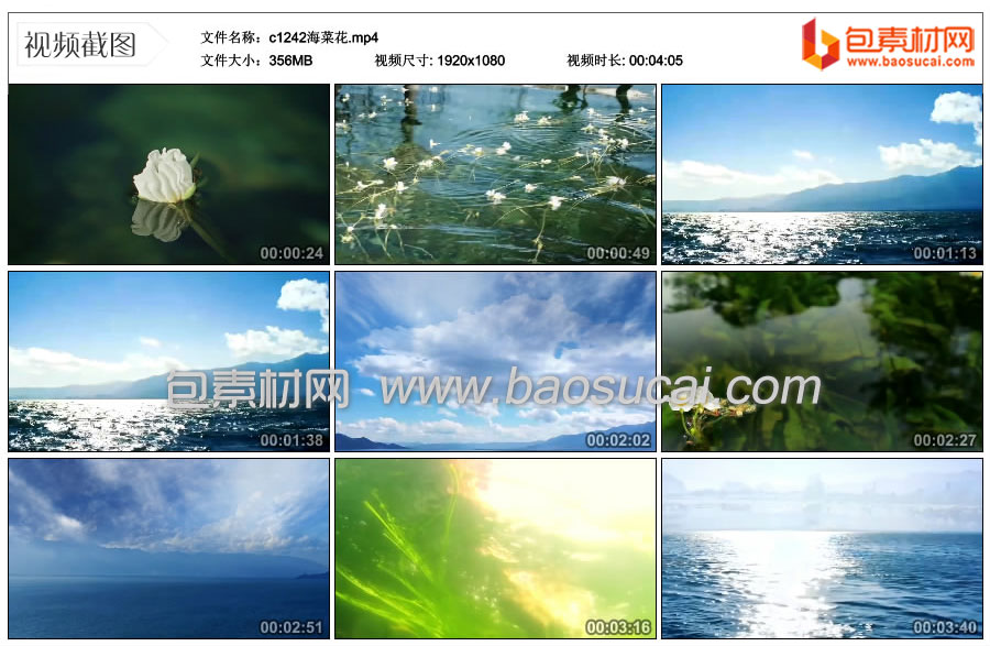 c1242海菜花.mp4_thumbs_2022.04.18.00_44_28.jpg