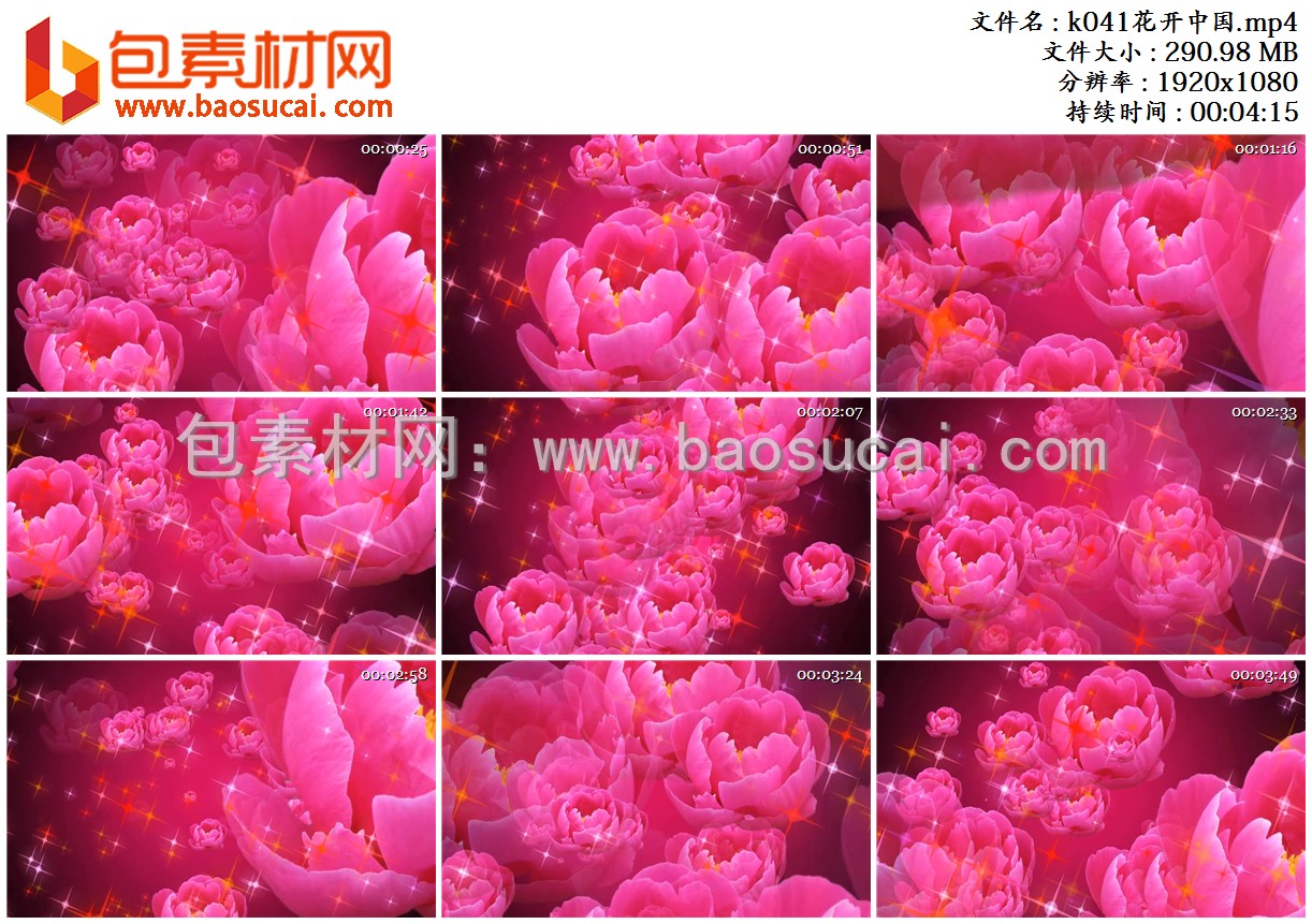 k041花开中国.mp4.jpg