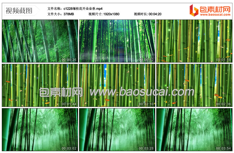 1701133390974011.jpg c1228缅桂花开朵朵香.mp4_thumbs_2023.11.24.13_4553.jpg