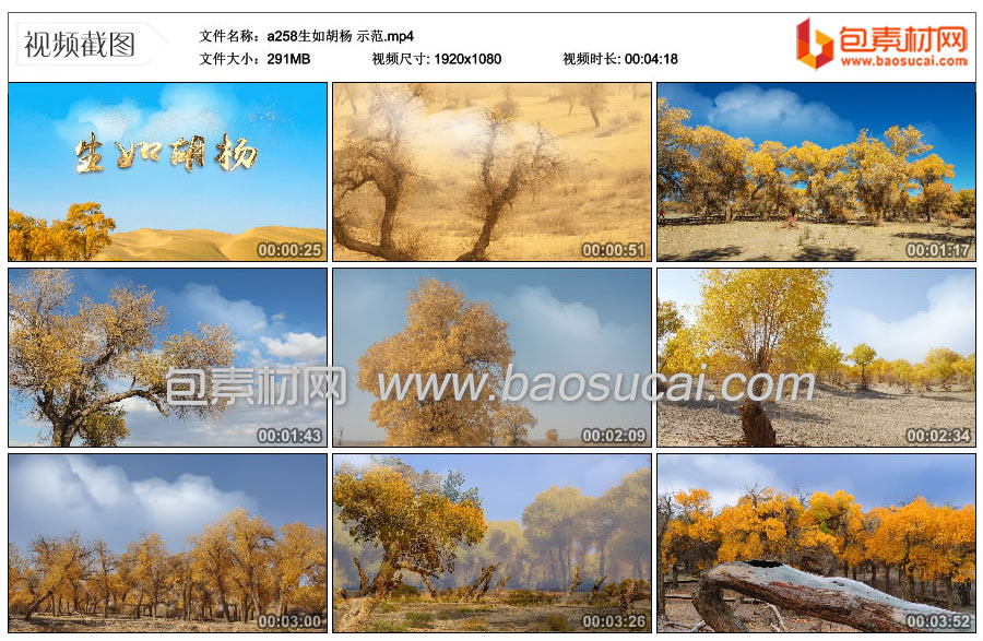 1753097750330940.jpg a258生如胡杨-示范.mp4_thumbs_2025.07.16.17_09_08.jpg