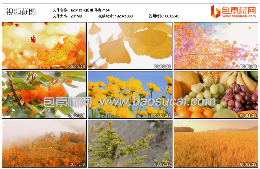 1758269518878871.jpg a261秋天的雨-伴奏.mp4_thumbs_2025.09.19.16_03_17.jpg