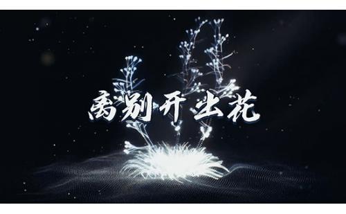 c1687离别开出花歌曲演唱舞台LED大屏幕背景视频素材